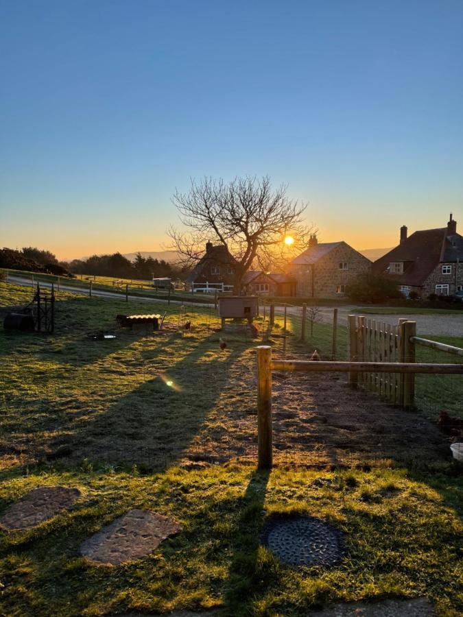 Bike Shed - Beautiful 1-Bed Cottage In Shorwell Exterior foto